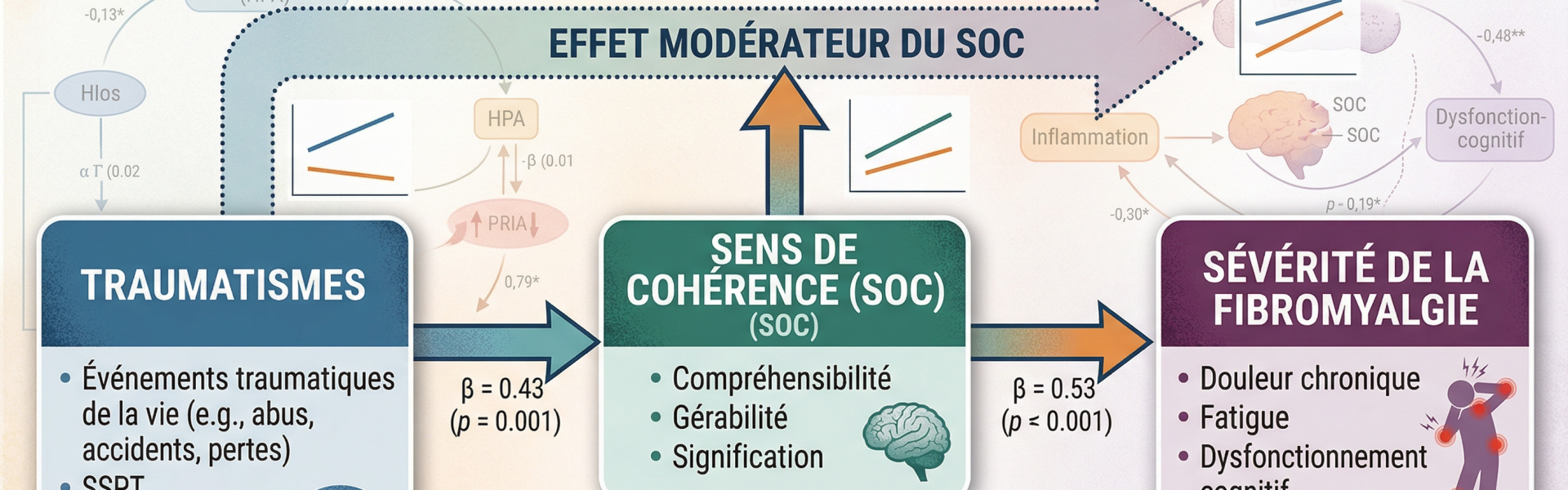 Schéma du rôle médiateur et modérateur du Sens de Cohérence entre traumatismes et sévérité de la fibromyalgie